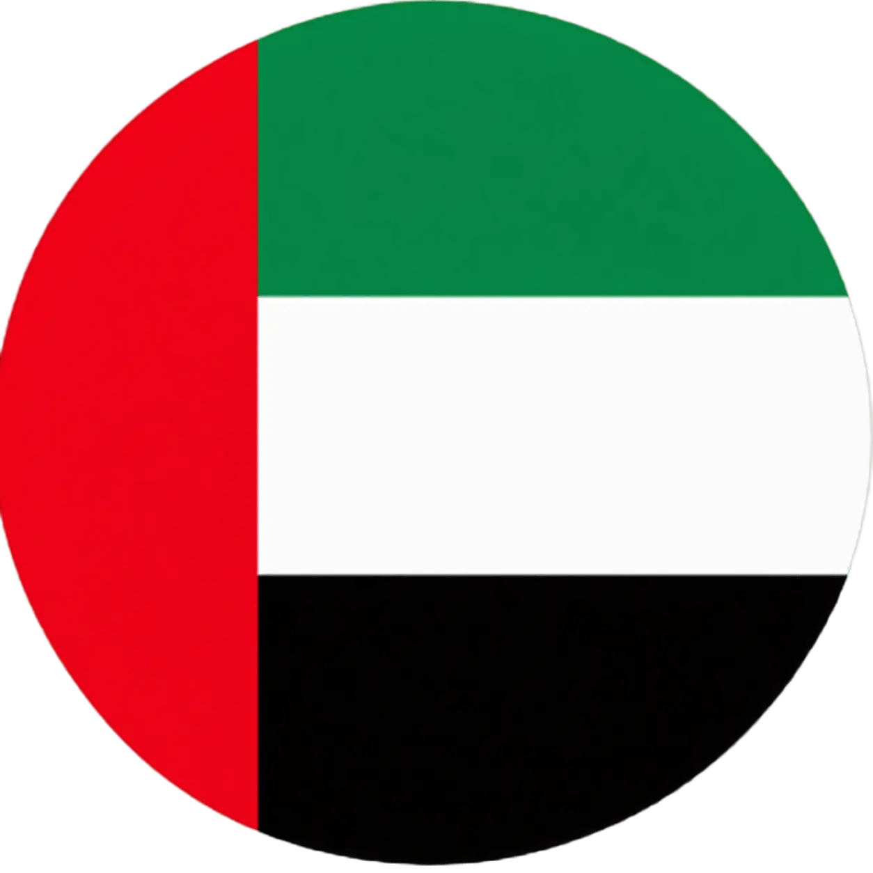UAE Flag